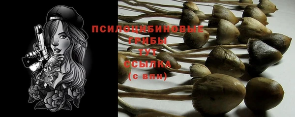 синтетический гашиш Богданович