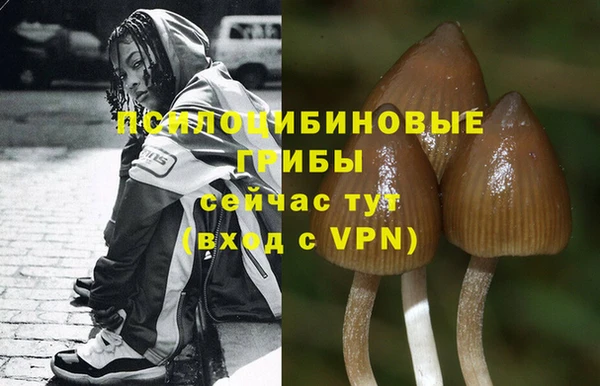 синтетический гашиш Богданович