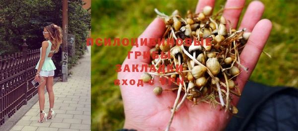 синтетический гашиш Богданович