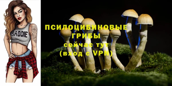 MESCALINE Богородск