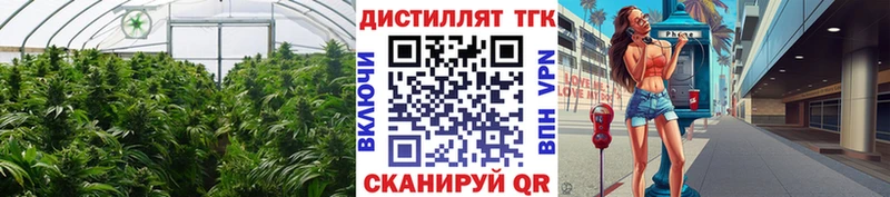 цены   Северск  ТГК Wax 