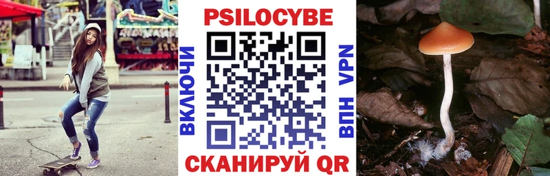 Псилоцибиновые грибы прущие грибы  купить наркотики цена  дарк нет какой сайт  Северск 