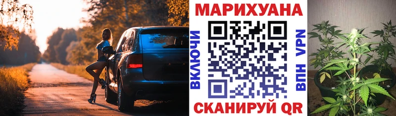 сколько стоит  Северск  Конопля гибрид 